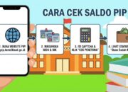 Saldo PIP Sudah Cair atau Belum? Ini Cara Mengeceknya dalam 2 Menit