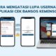 Jangan Panik Dulu! Cara Mengatasi Lupa Username Aplikasi Cek Bansos Kemensos