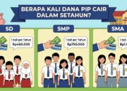 Berapa Kali Dana PIP Cair dalam Setahun? Ini Besaran Uang yang Diterima Siswa SD, SMP dan SMA