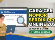 Cara Cek Nomor Serdik PPG Online yang Benar Agar Tunjangan Cepat Cair