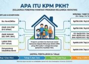Apa Itu KPM PKH? Jenis Bantuan dan Nominal yang Didapat